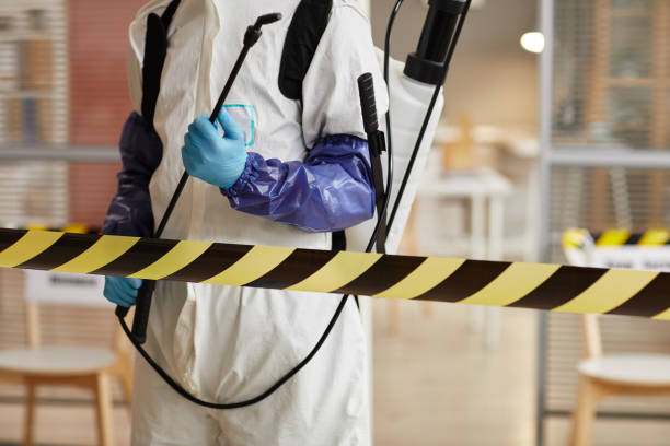 Professional Sewage Cleanup technician working in Auburn, MI